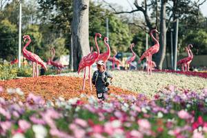 BIB: 
                            <button type="button" onclick="openModal(27344309)" class="btn btn-primary btn-sm float-right btn-popup" data-toggle="modal" data-target=".modal-high-quality">
                        <i class="fas fa-shopping-cart"></i> Add to Cart
                    </button>
                                            <button type="button" onclick="isThisMe(27344309, true)" class="btn btn-success btn-sm float-right btn-popup btn-isme hidden" data-toggle="tooltip" data-placement="bottom" title="นี่คือรูปของคุณใช่ไหม คลิกที่นี่เพื่อเอาเข้าอัลบั้ม">
                        <i class="fas fa-plus"></i> Add to album
                    </button>
                    <button type="button" onclick="isThisMe(27344309, false)" class="btn btn-warning btn-sm float-right btn-popup btn-isnotme hidden">
                        <i class="fas fa-ban"></i> Remove from album
                    </button>